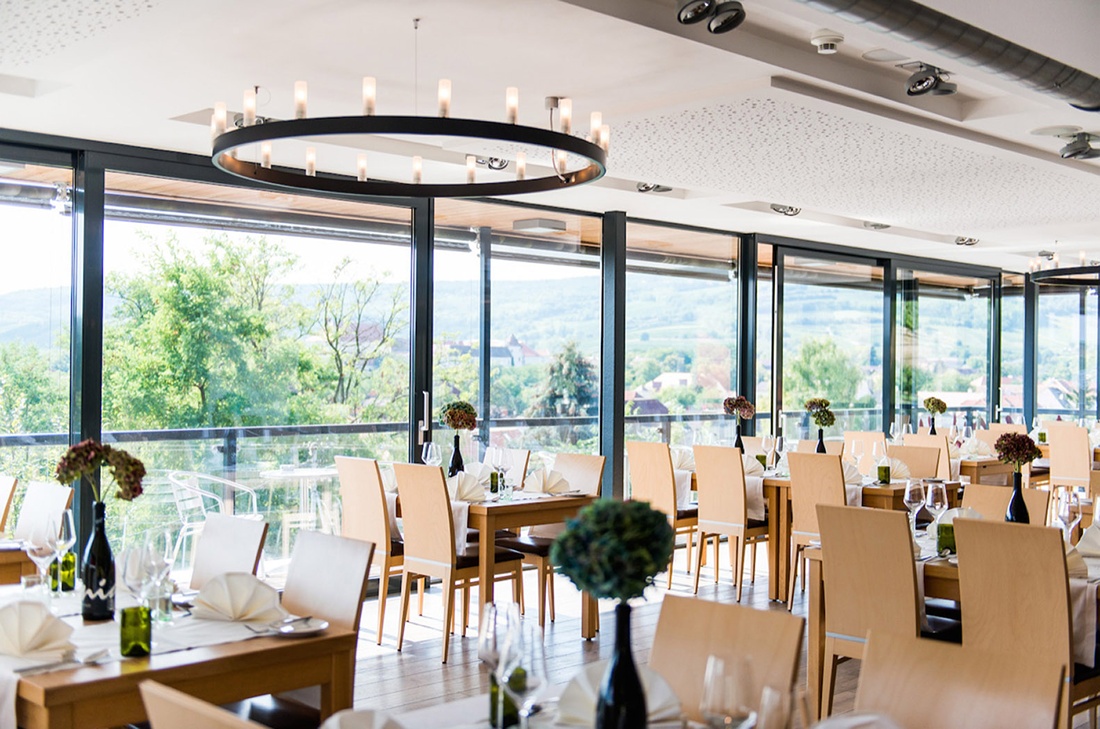 Hagn Weindomizil – hoher Genussfaktor mit Blick auf Weingärten