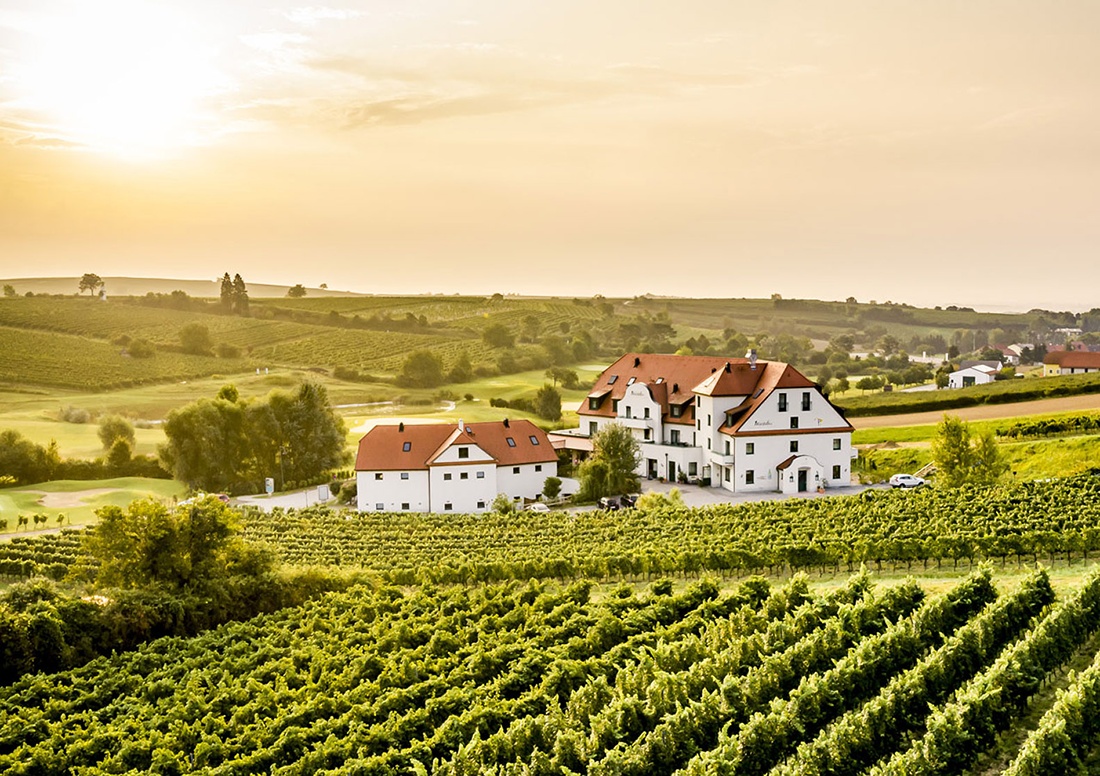 Neustifter – Genuss mit Blick auf Golfplatz und Poysdorfer Weingärten