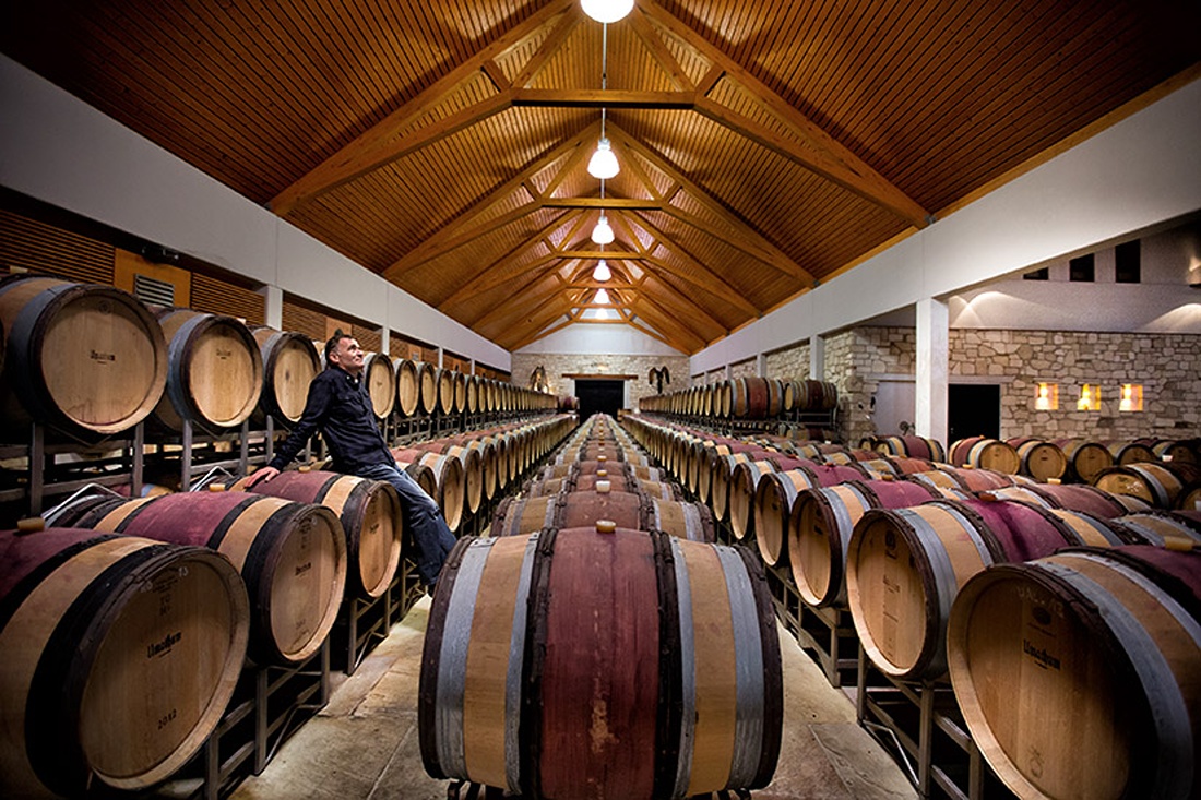 Weingut Umathum – Denken und Handeln