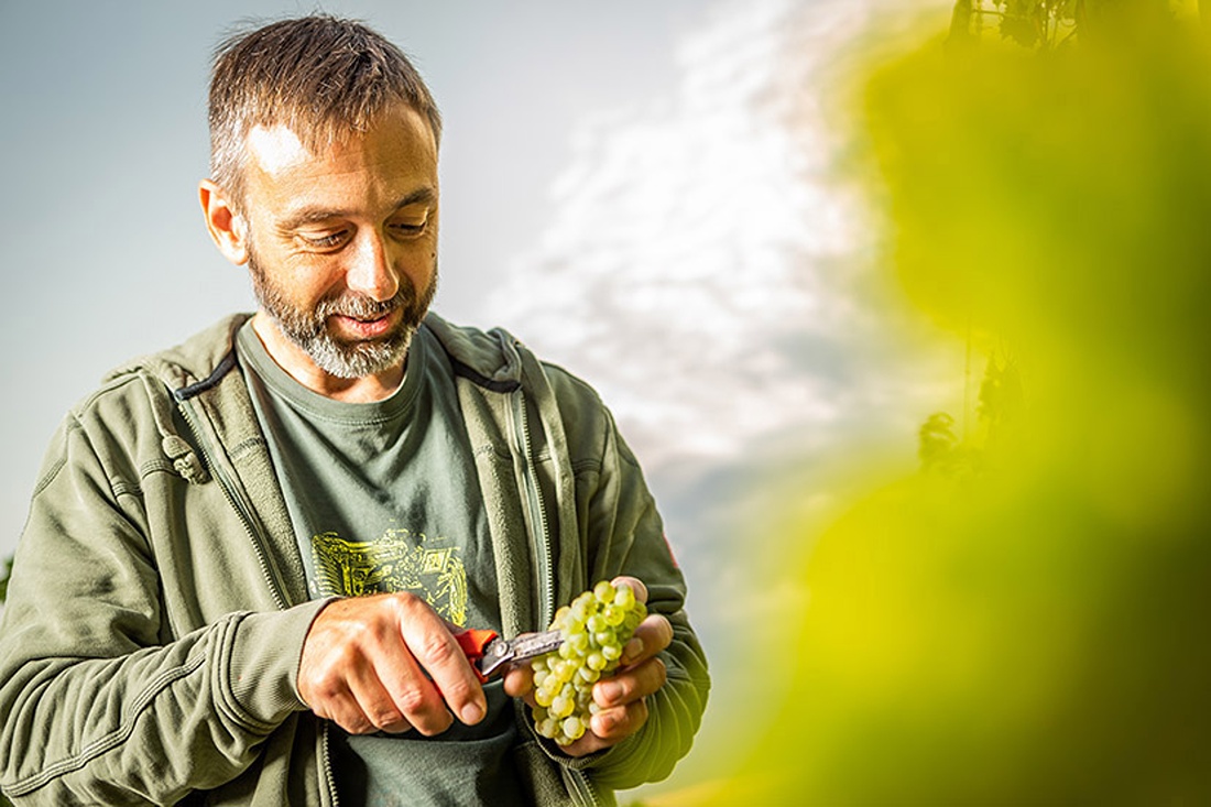 Weingut Feiler-Artinger – ganz Rust in einem Keller
