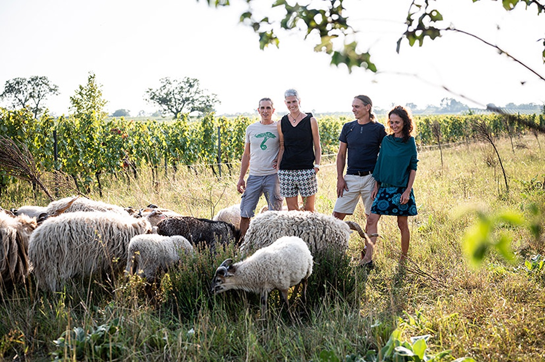 Weingut Ernst Triebaumer – das gibt’s nur einmal