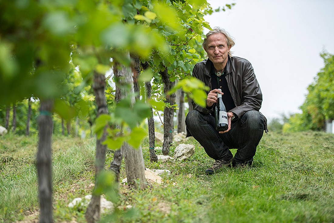 Weingut F. M. Mayer Vitikultur – das Raritäten-Kabinett