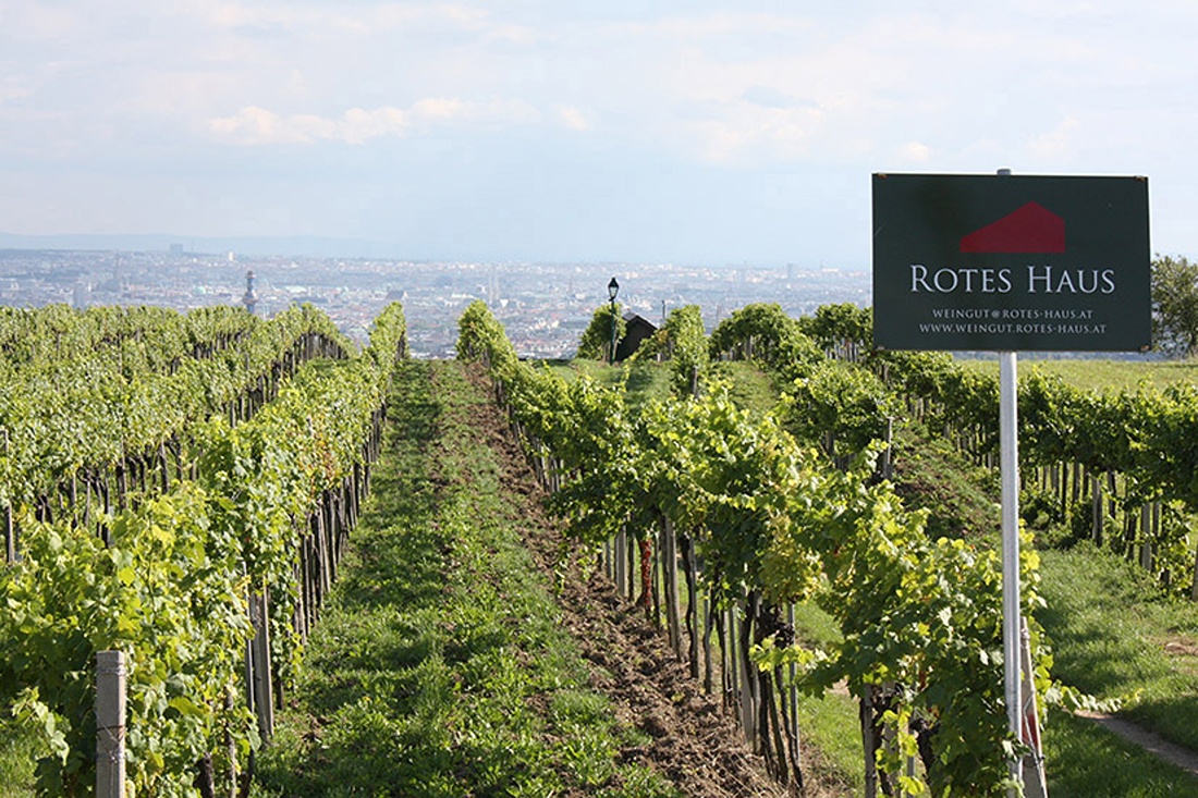 Weingut Rotes Haus &ndash; Nussberg pur
